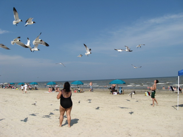 617x456 pixels (79K)