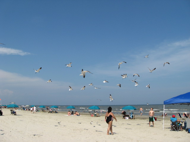 617x456 pixels (67K)