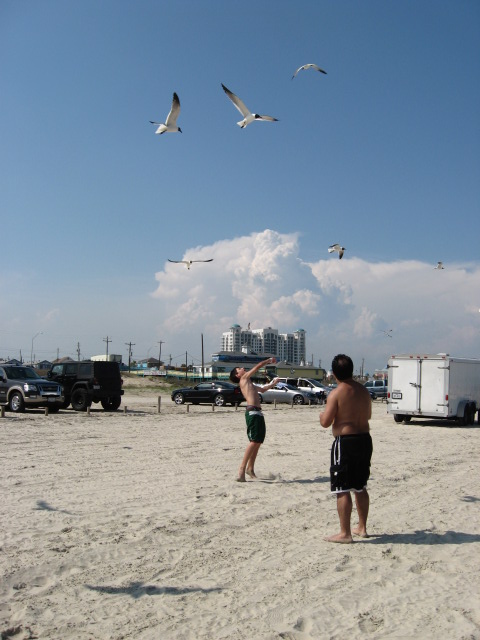 457x616 pixels (93K)