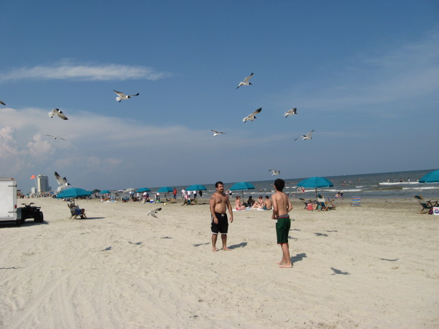 617x456 pixels (77K)