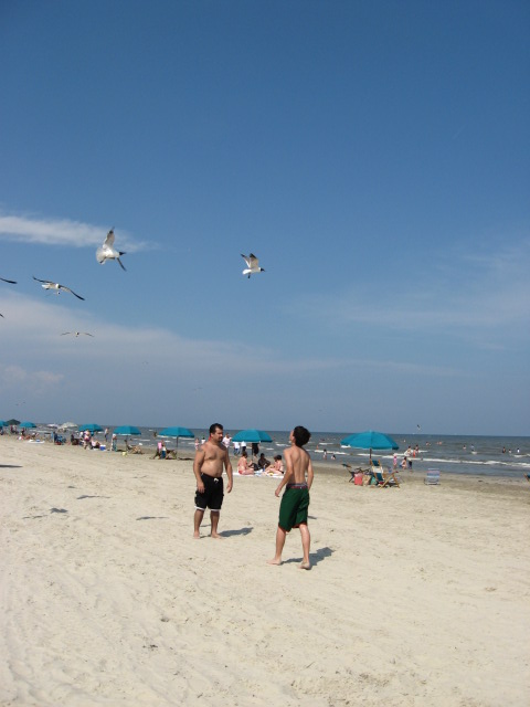 457x616 pixels (68K)