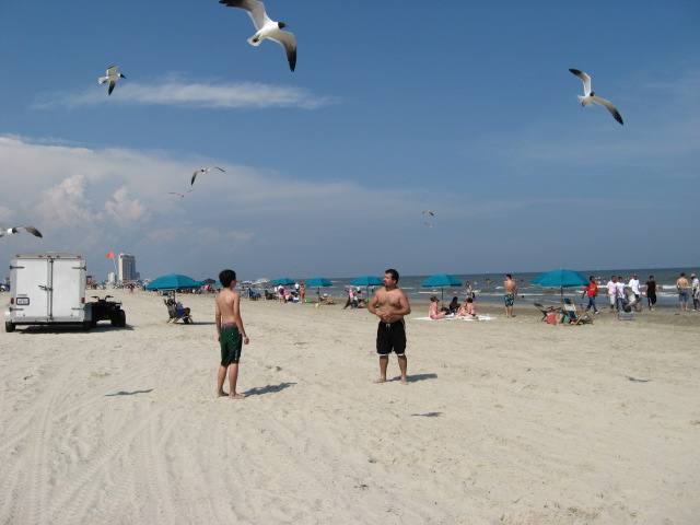 617x456 pixels (79K)