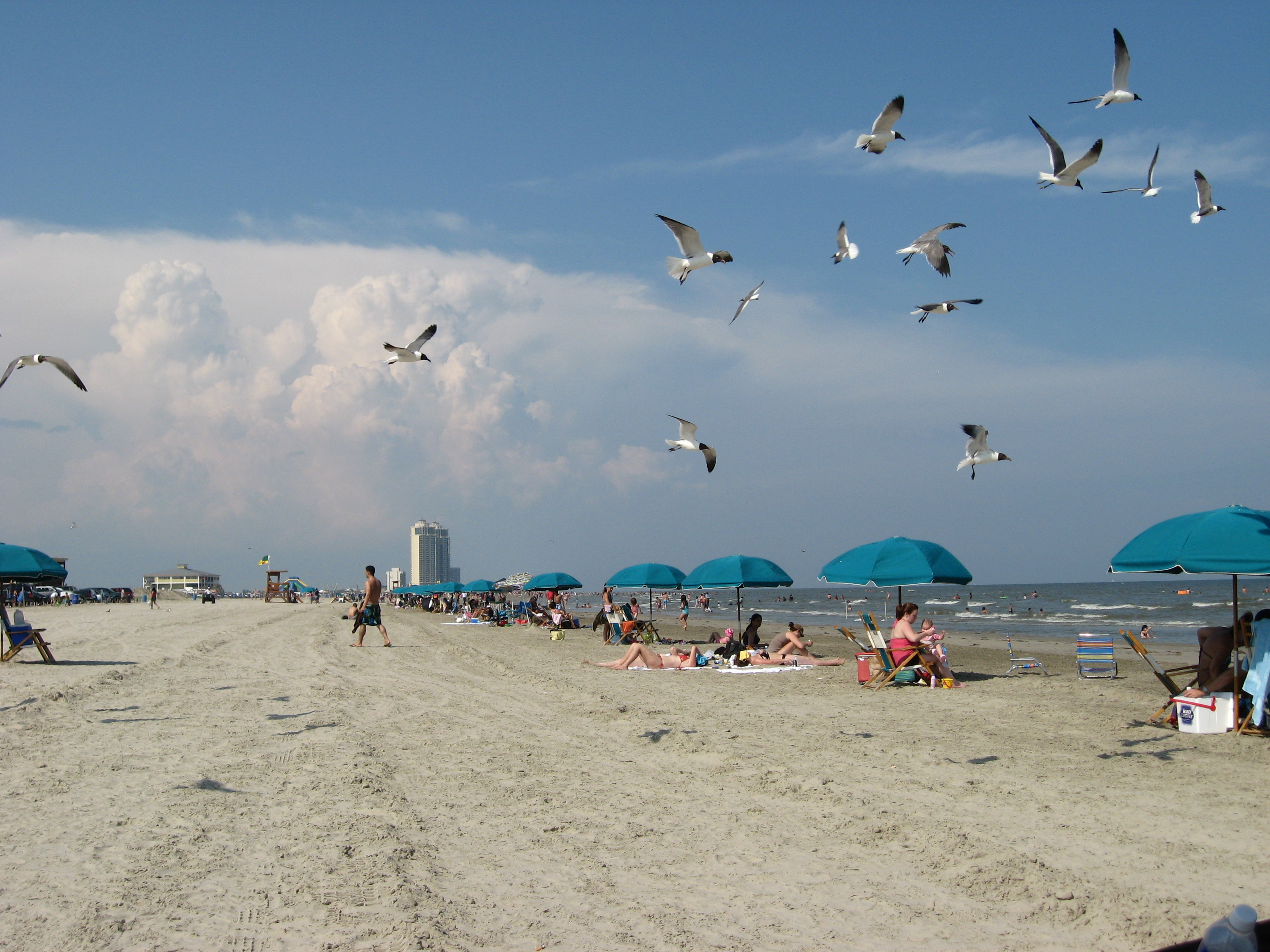 3049x2280 pixels (1,725K)