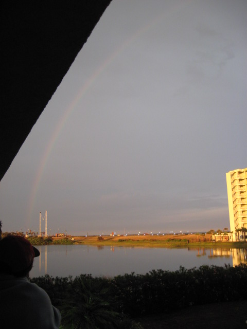 457x616 pixels (54K)