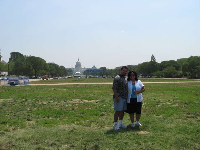 617x456 pixels (105K)