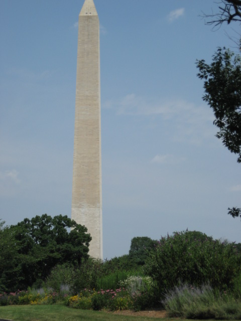 457x616 pixels (72K)