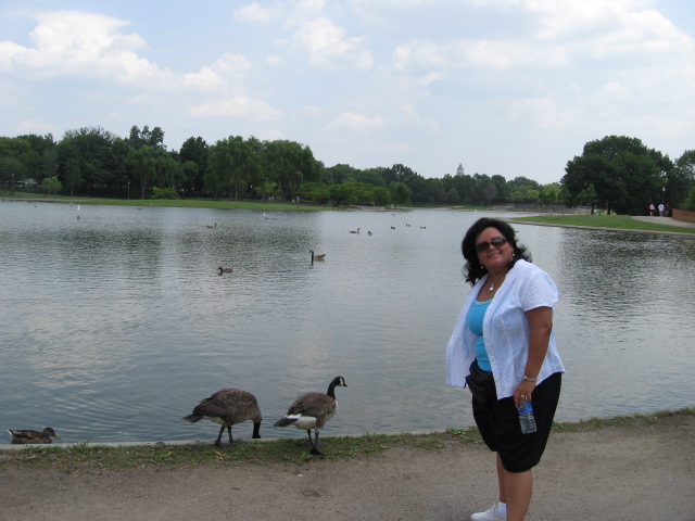 617x456 pixels (98K)