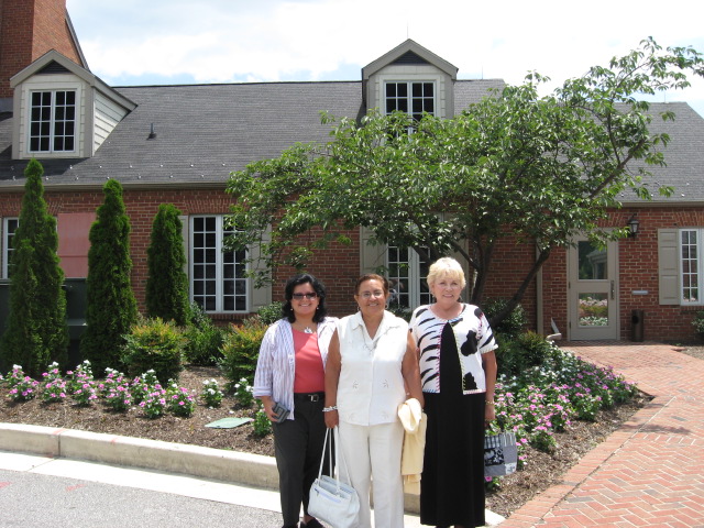 617x456 pixels (157K)