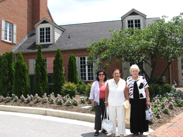 617x456 pixels (161K)