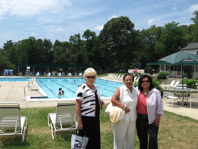 617x456 pixels (142K)