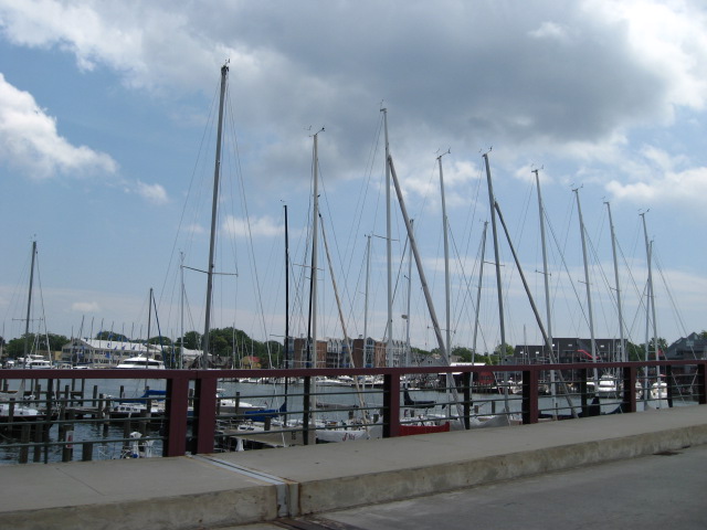 617x456 pixels (95K)