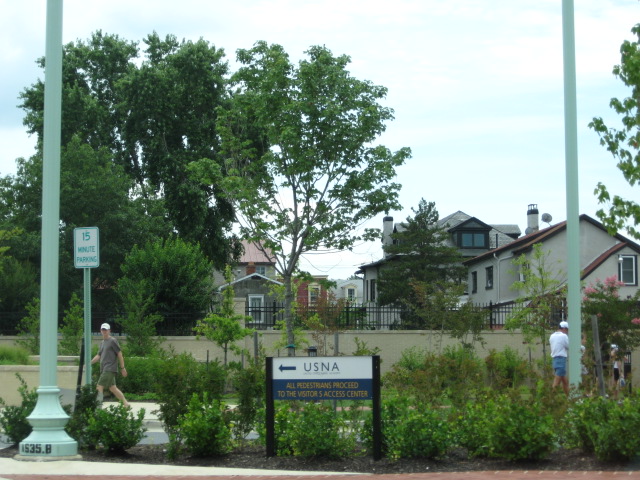 617x456 pixels (143K)