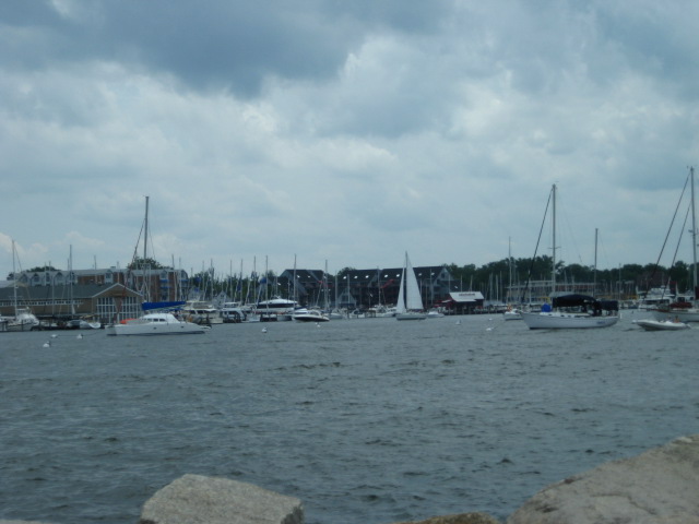 617x456 pixels (75K)