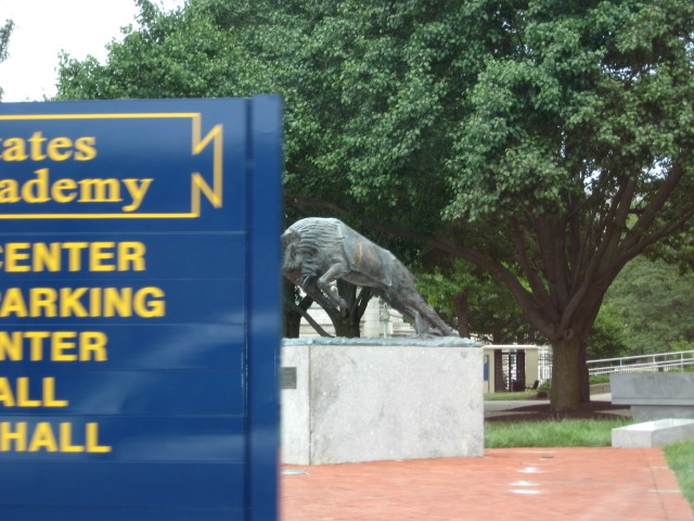 617x456 pixels (128K)