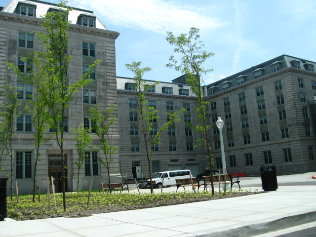 617x456 pixels (133K)