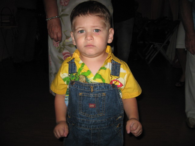 618x457 pixels (78K)