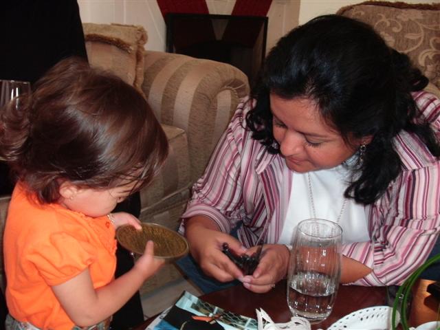 618x457 pixels (55K)