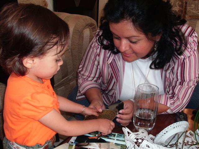 618x457 pixels (62K)