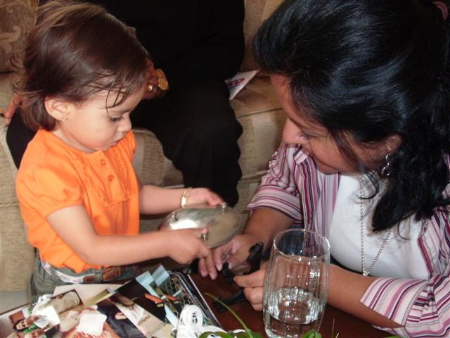 618x457 pixels (56K)