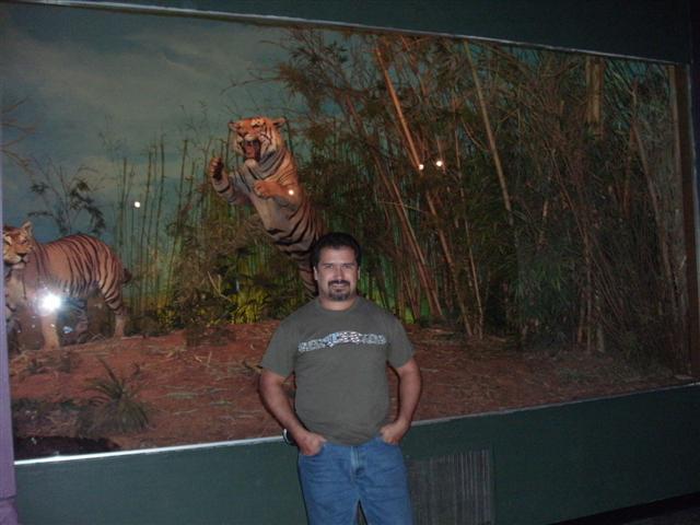 618x457 pixels (46K)