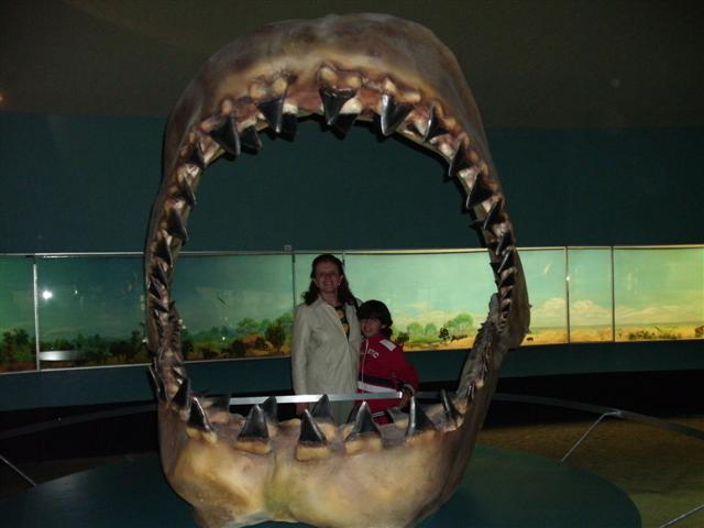 618x457 pixels (36K)