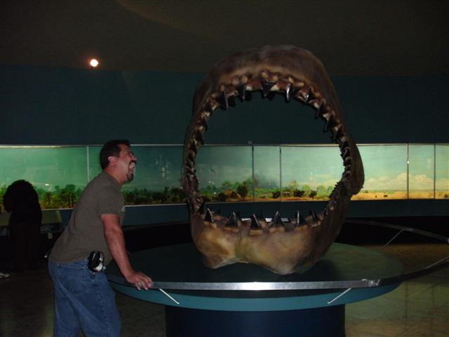 618x457 pixels (31K)