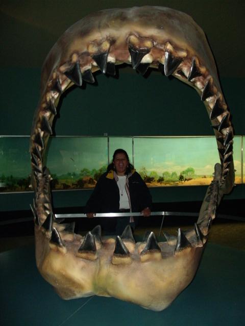 458x617 pixels (38K)