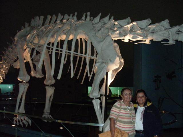 618x457 pixels (45K)