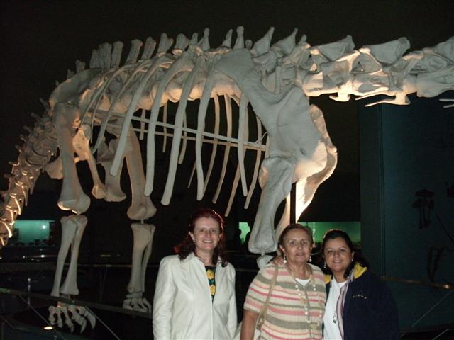 618x457 pixels (50K)