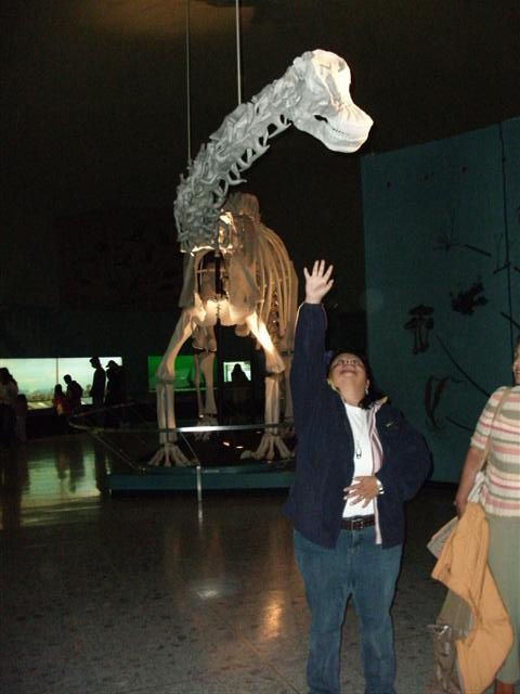 458x617 pixels (42K)