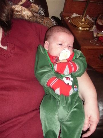 338x457 pixels (33K)