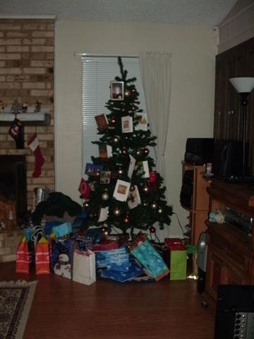 338x457 pixels (29K)