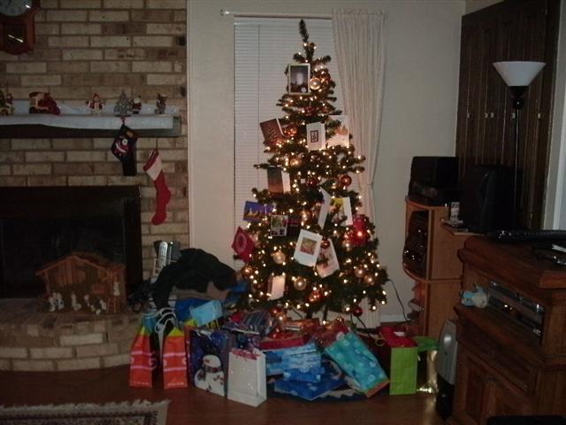 618x457 pixels (51K)