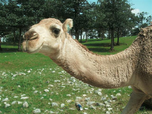 618x457 pixels (83K)