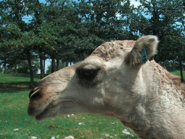 618x457 pixels (72K)