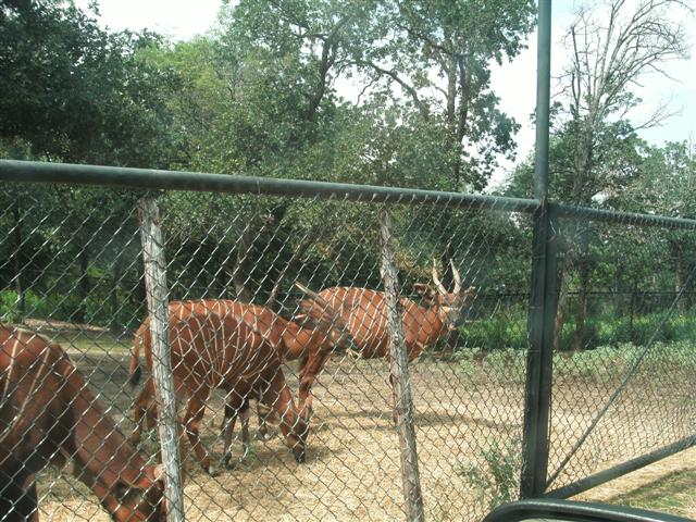 618x457 pixels (102K)