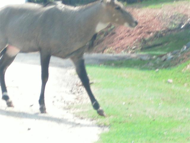 618x457 pixels (36K)