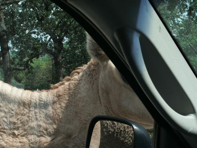 618x457 pixels (58K)