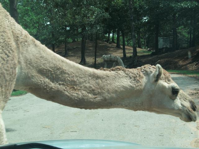 618x457 pixels (57K)