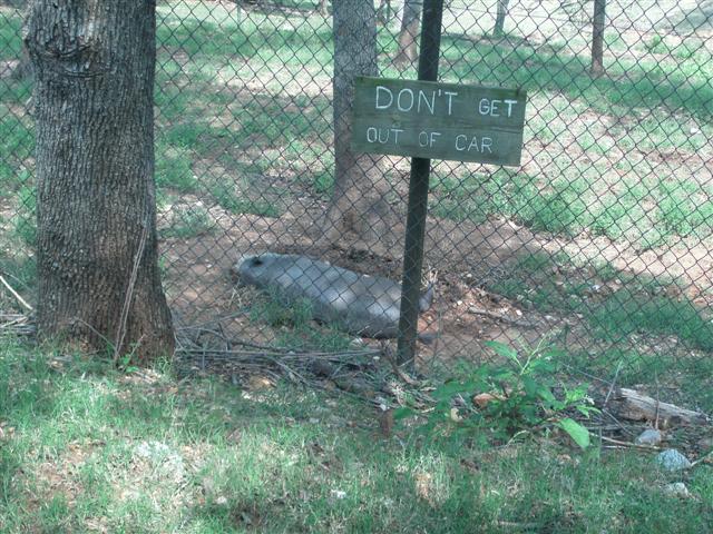 618x457 pixels (97K)