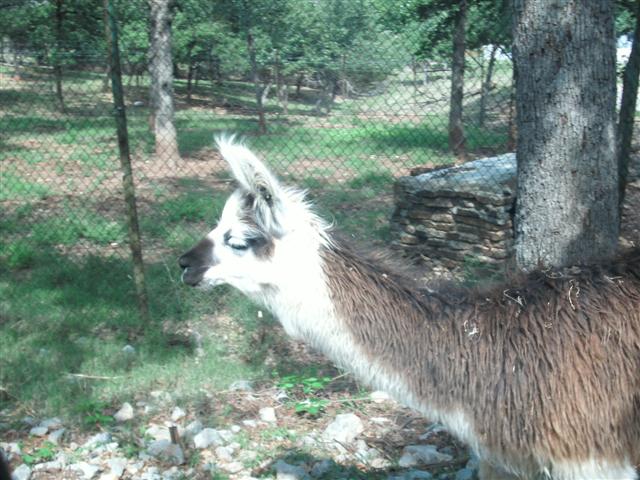 618x457 pixels (74K)