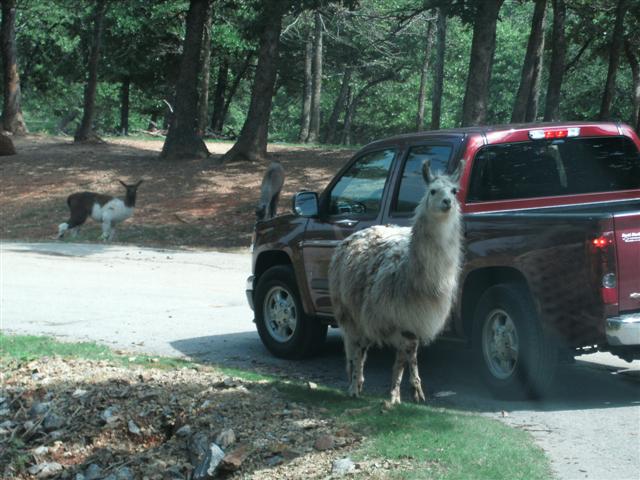 618x457 pixels (66K)