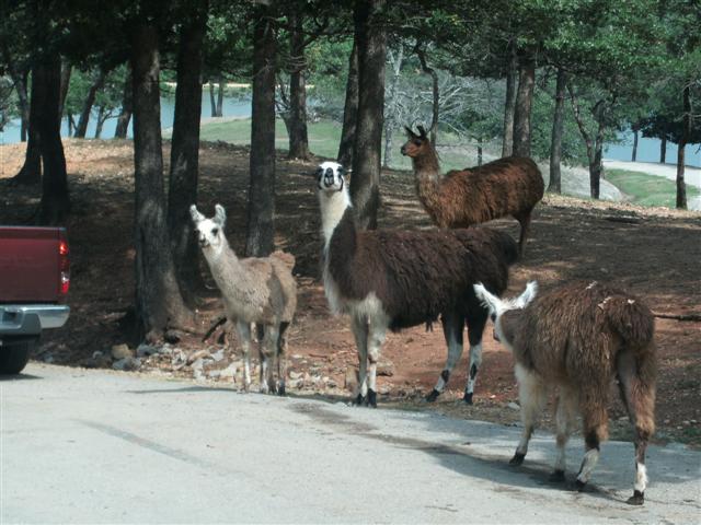 618x457 pixels (64K)