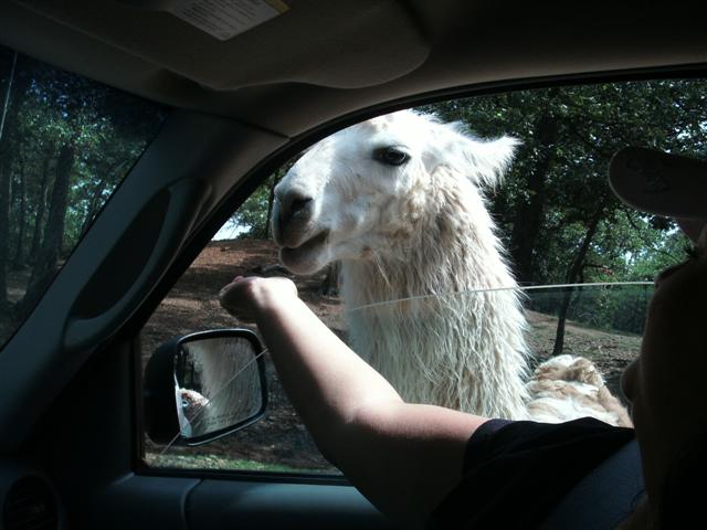 618x457 pixels (48K)