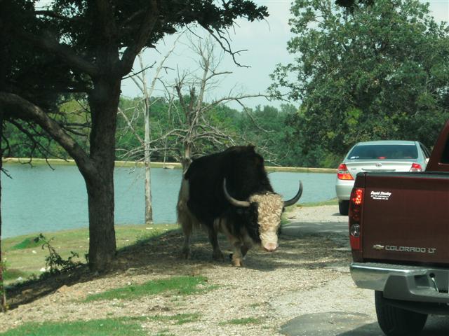 618x457 pixels (70K)