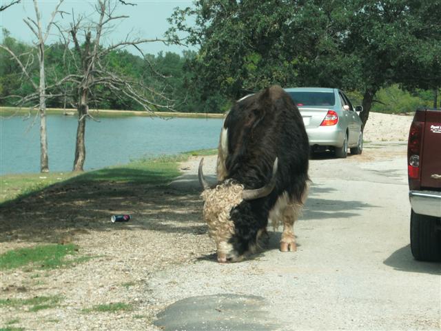 618x457 pixels (66K)