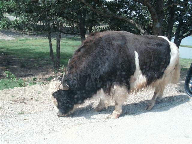 618x457 pixels (70K)