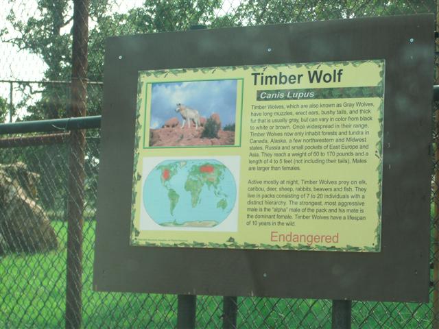 618x457 pixels (60K)