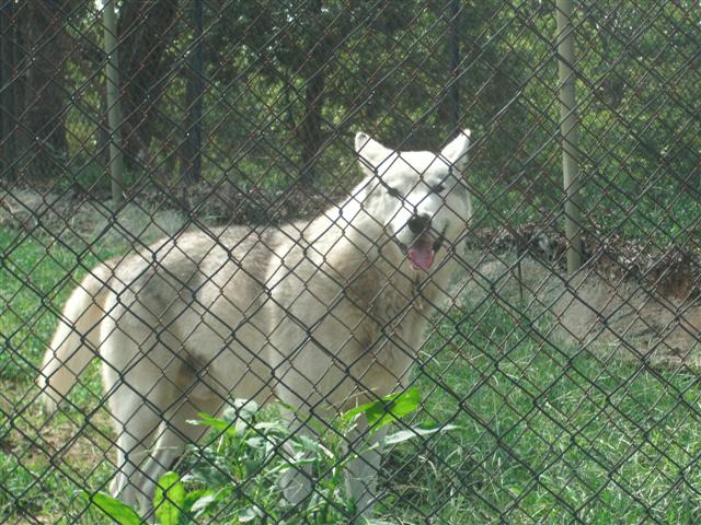 618x457 pixels (89K)