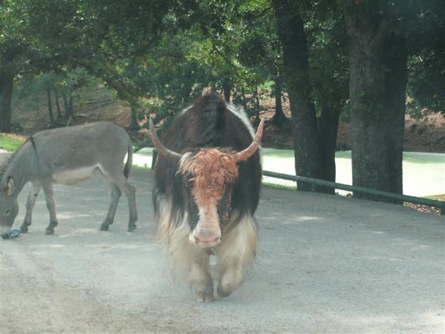 618x457 pixels (51K)